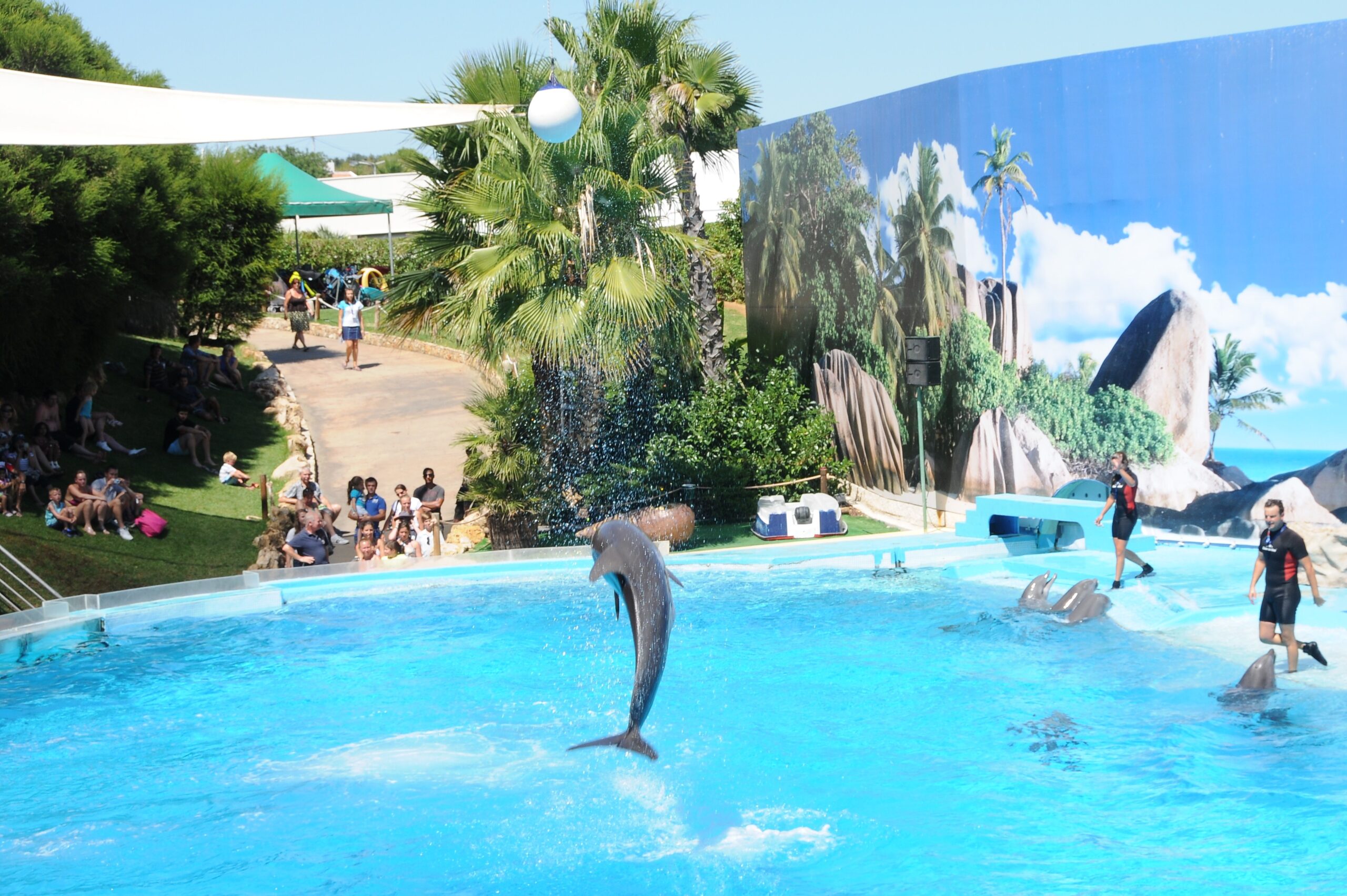 Cosa vedere a Torvajanica: parco acquatico Zoomarine