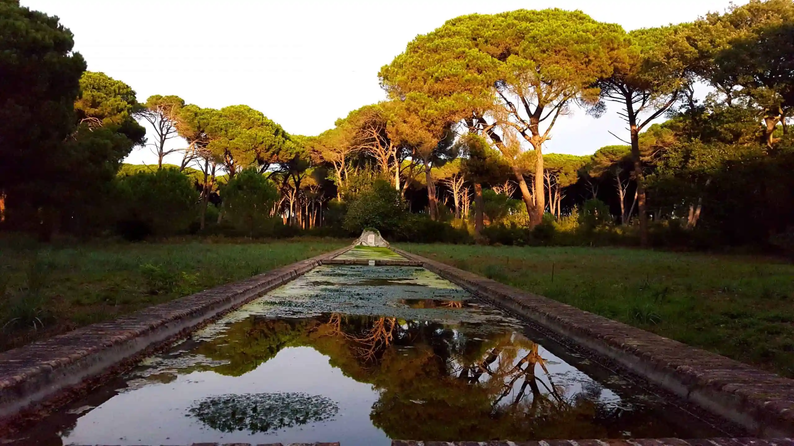 Cosa vedere a Torvajanica e dintorni: riserva naturale di Castel Porziano